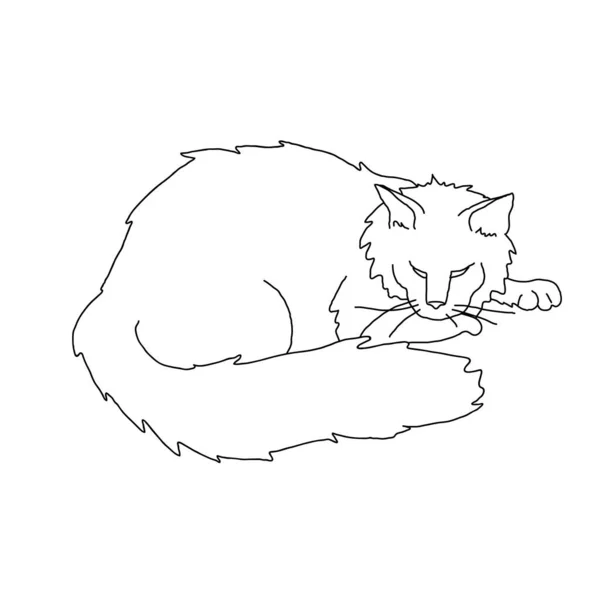 Minimalistisk Katt Abstrakt Linje Konst Stil Silhuett Liggande Söta Husdjur — Stock vektor