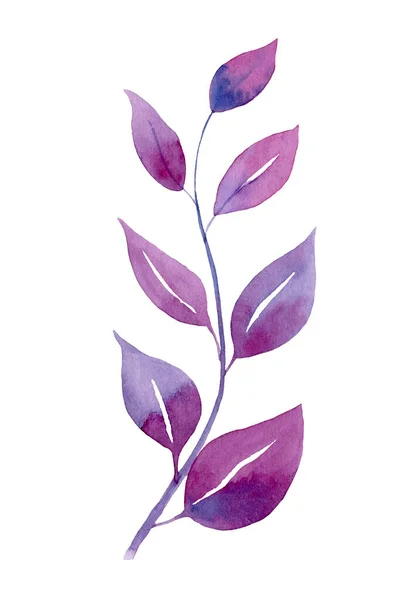 Gałąź akwarelowa z liśćmi fioletowymi — Zdjęcie stockowe