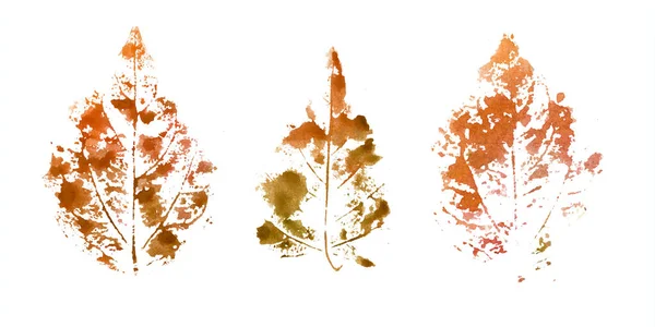 秋の紅葉。手描き切手 — ストック写真