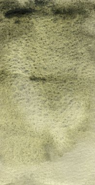 Suluboya zeytin arkaplanı