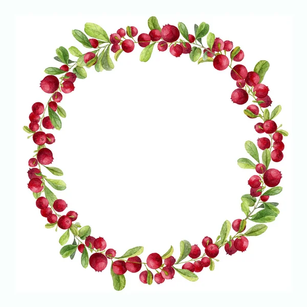 Watercolor Hand Painted Wreath Red Berry Green Leaves Frame Cranberry — 图库照片