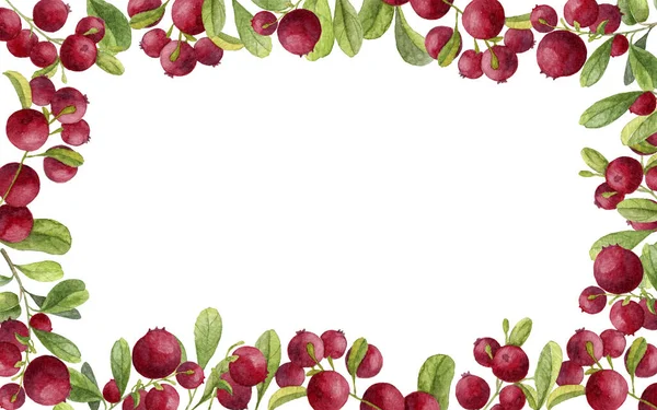 Watercolor cranberry frame — 图库照片