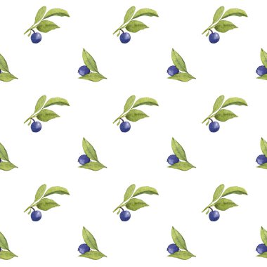 Mavi dut ve yeşil yapraklı suluboya deseni. İzole edilmiş beyaz arka planda elle boyanmış. Ambalaj kağıdı ya da tekstil tasarımı için Sonbahar Böğürtlenleri