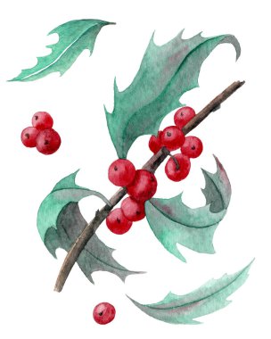 Kırmızı dutlu suluboya Holly Branch