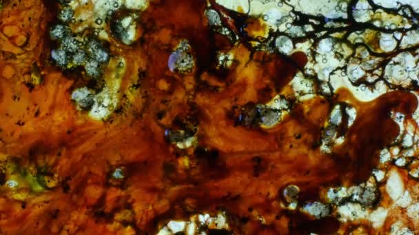 Curlicue des Peintures 