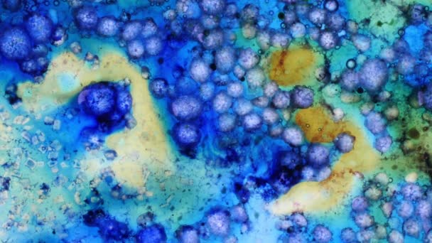 Curlicue des Peintures 