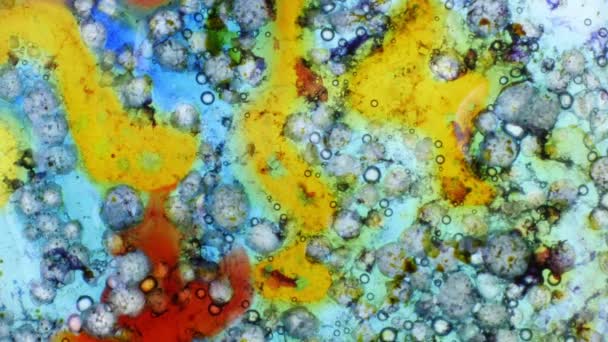 Curlicue des Peintures 