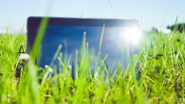 Tableta de PC en la hierba — Vídeo de stock