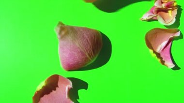 Çiçek yaprakları yeşil ekran üzerinde