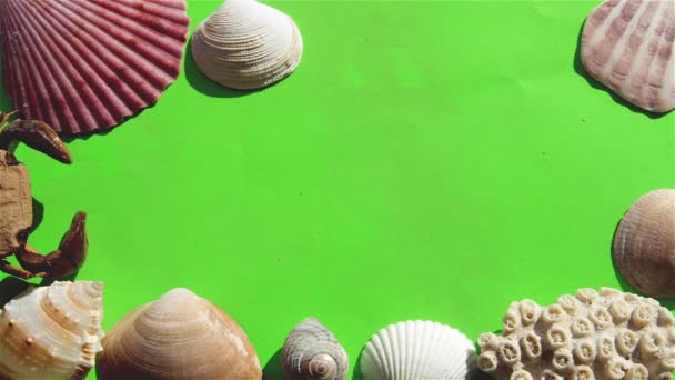 Muscheln und Sand auf einem grünen Bildschirm. — Stockvideo