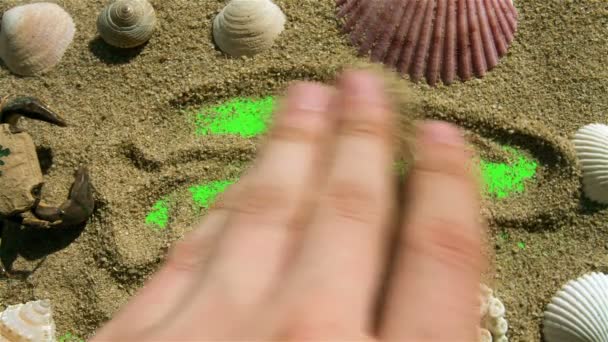 Seashells e areia em uma tela verde . — Vídeo de Stock