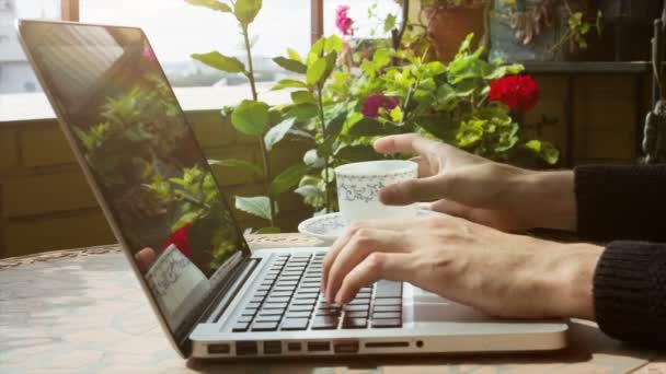 Homem usando laptop — Vídeo de Stock