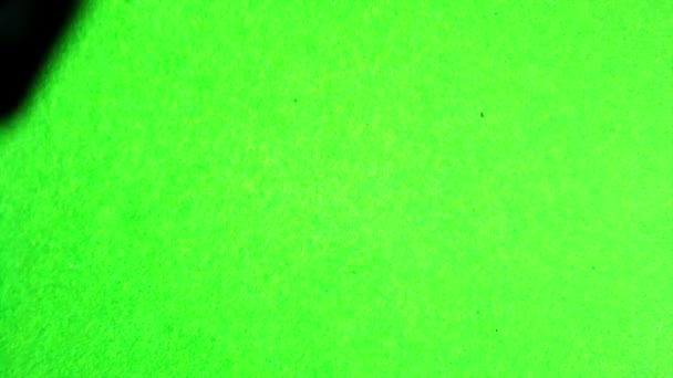 Pinsel malt einen grünen Bildschirm — Stockvideo