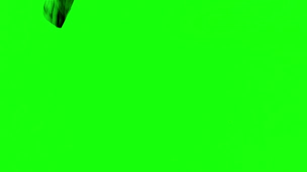 Pintura de pincel una pantalla verde — Vídeo de stock