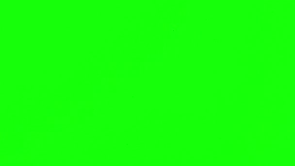 Penseln målar en grön skärm — Stockvideo