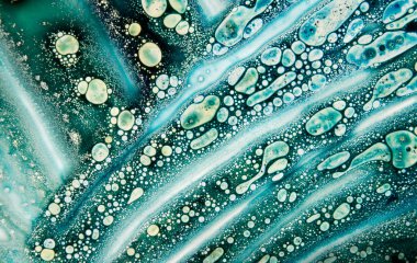 Muhteşem değerli desen