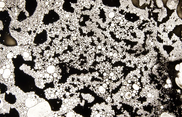 Muhteşem değerli desen