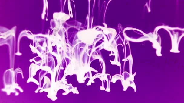 Colored Smoke   bizarre forms of ink in water — Stock Video