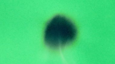 Siyah bir arka plan üzerinde yanan yeşil ekran