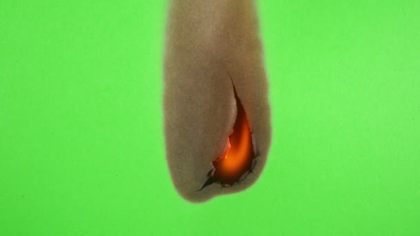 Het groene scherm branden — Stockvideo