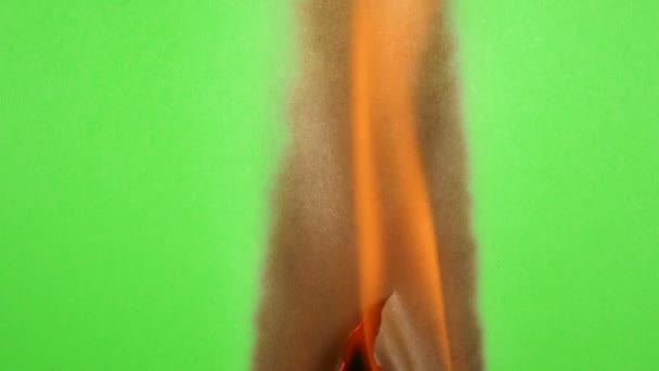 Schermo verde in fiamme — Video Stock