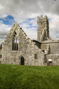 Killarney, Co. Kerry İrlanda yakınlarındaki Ross Kalesi