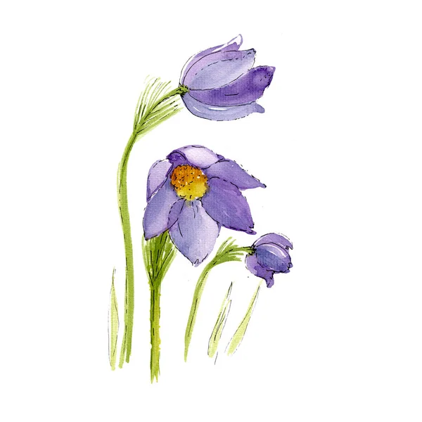 Aquarell Zweig violette Schneeglöckchenblume auf weißem Hintergrund. Isolierte Blumen Element mit Verpackung — Stockfoto