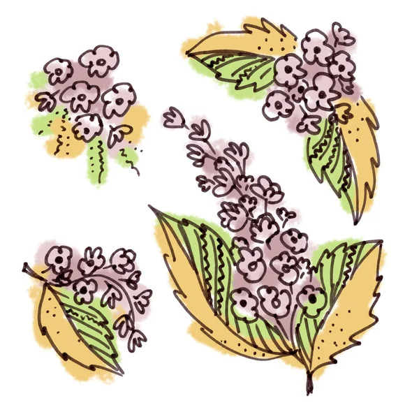 흰색 배경에 선 미술 스타일의 네 가지 플 로럴 요소로 구성된다. 분홍색 꽃 두 송이와 노란색 과 초록색 잎 세 개 — 스톡 사진