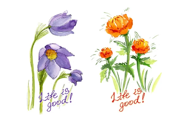 Aquarell-Muster Hochzeitseinladung oder Grußkarte Feier mit Text Zweig violett Schneeglöckchen und orange Butterblume auf weißem Hintergrund. Isolierte Blumen Element mit Verpackung — Stockfoto