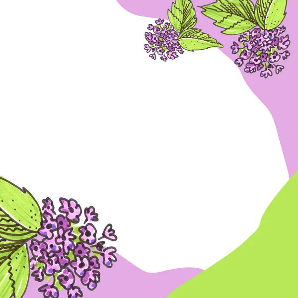 Template Background for Holidays. Pink, green and white Backgrounds for text. Felt pen violet flowers with green element in the style of line art for web banners.