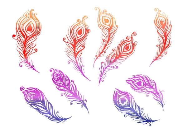 Aquarela Conjunto de elementos de penas de pássaros no estilo de arte de linha em um fundo branco. Penas roxas, azuis, laranja, rosa e violeta — Fotografia de Stock