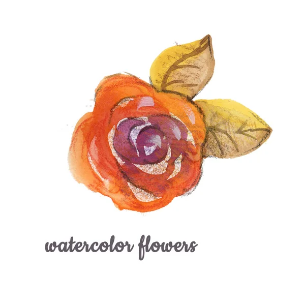 Aquarell Blume handgemalte isolierte Knospe Rose und zwei gelbe Blätter auf weißem Hintergrund. Vereinzelte bunte Veilchen, orangefarbene Rosen für Hochzeit und Verpackung. — Stockfoto
