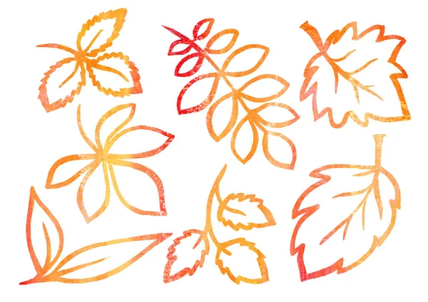 Aquarelle Ensemble d'éléments floraux dans le style de l'art linéaire sur un fond blanc. feuille jaune et orange d'automne — Photo