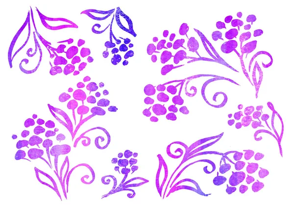 Aquarell Set von Floral Flower Elementen im Stil der Linienkunst auf weißem Hintergrund. Herbstviolett, Purpur und Flieder Blumen — Stockfoto