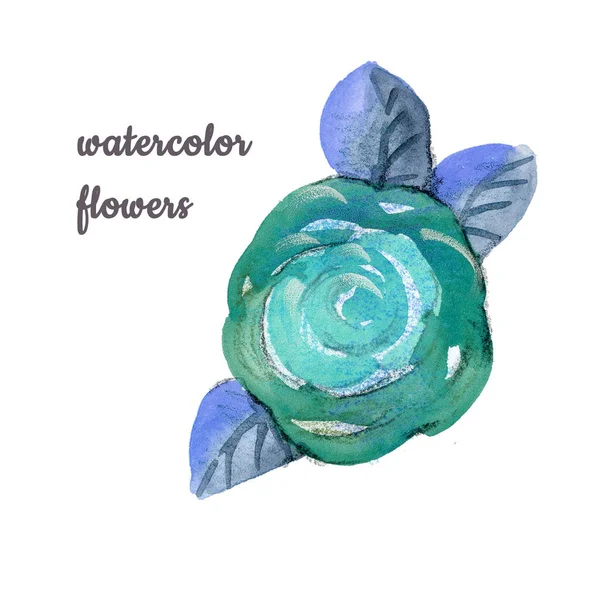 水彩画手绘孤立的花蕾玫瑰和叶子在白色的背景。孤零零的玫瑰用于婚礼和包装。蓝绿色、蓝色和绿色 — 图库照片