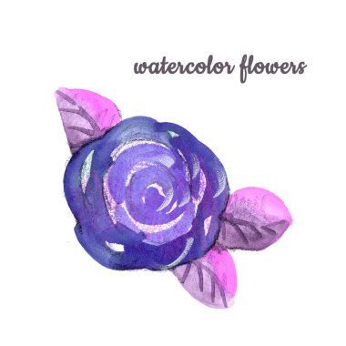 Watercolor violet Flower hand-painted isolated bud Rose and three lilac leafs on a white Background. Isolated purple rose for wedding and packaging clipart