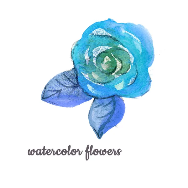Akwarela Kwiat ręcznie malowane pojedyncze pąki Rose i liści na białym tle. Odizolowana róża na ślub i opakowanie. turkusowe, niebieskie i zielone kolory — Zdjęcie stockowe