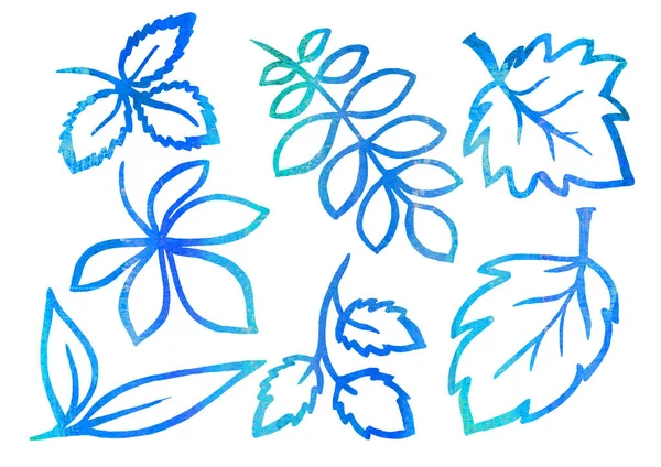 Akvarell Set of Floral elements in the style of line art on a white background. kék, zöld és türkiz levél — Stock Fotó