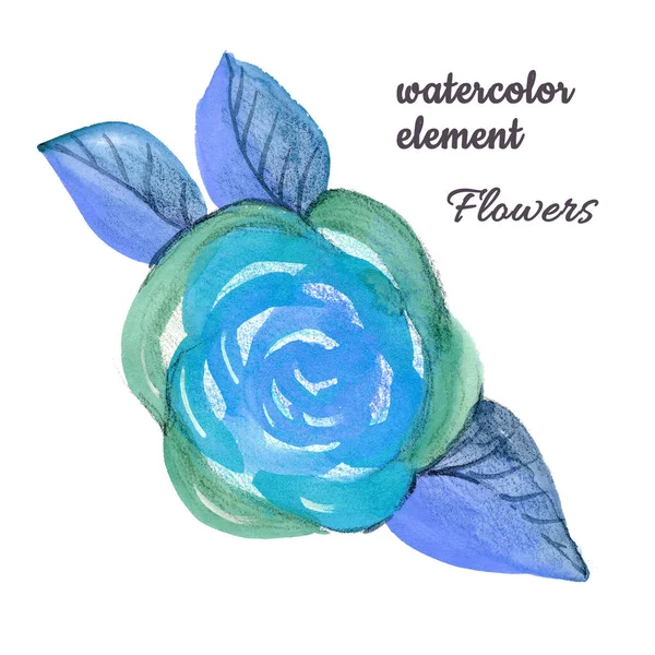 Acuarela flor pintada a mano brote aislado rosa y hojas sobre un fondo blanco. Rosa aislada para boda y embalaje. turquesa, azul y verde — Foto de Stock
