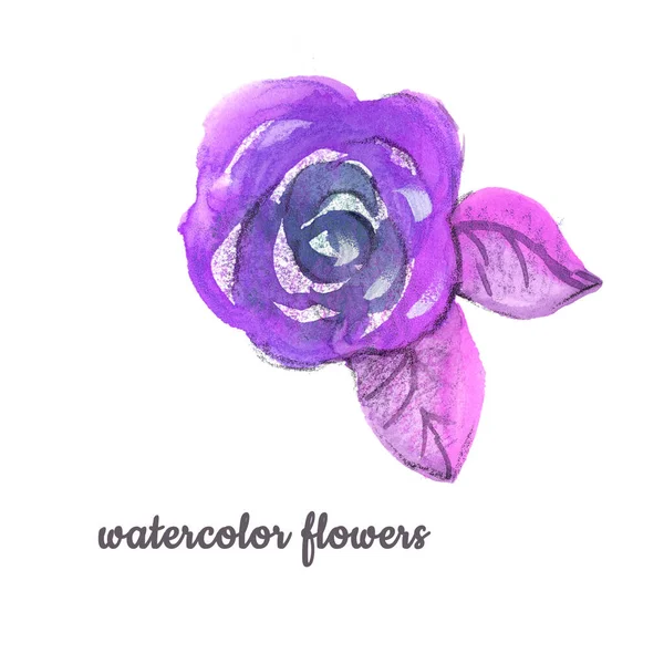 Watercolor violet Flower hand-painted isolated bud Rose and two lilac leafs on a white Background. Isolated purple rose for wedding and packaging — Stock Photo, Image