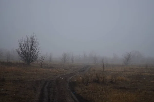 Road Leading Mysterious Fog — Stock Photo, Image