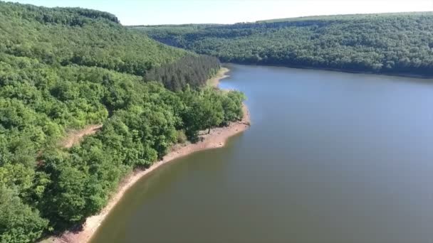 Flyfoto av å fly over skog og elv – stockvideo