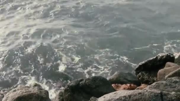 岩の多い海岸に入射する波 — ストック動画