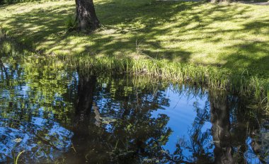 Güneşli bir günde göl. 