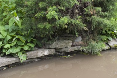asılı su, ağaç ve taş döşeme kıyısında üzerinde gölet, kıyı