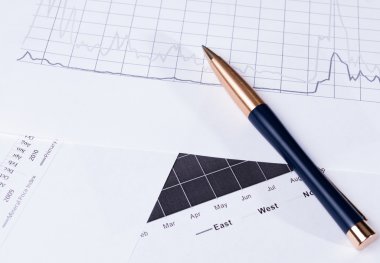 Kalem ve mali çizelgeleri ile iş geçmişi