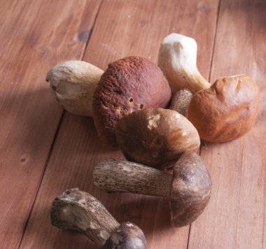 Orman ahşap arka plan üzerinde mantar. Sonbahar