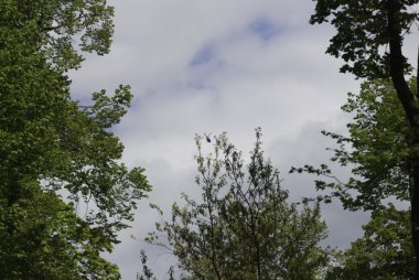 Gökyüzündeki helikopter