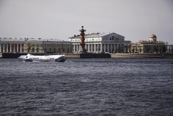 Spott av vasilyevsky ön — Stockfoto