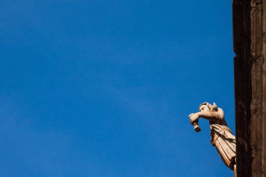 Kadeh kaldırıp kadeh kaldıran ve omzunda güvercin olan bir adamın heykeli. Neredeyse hiç bulut olmayan mavi bir gökyüzüne ateş ettiler. Ouro Preto, Brezilya 'da çekildi.